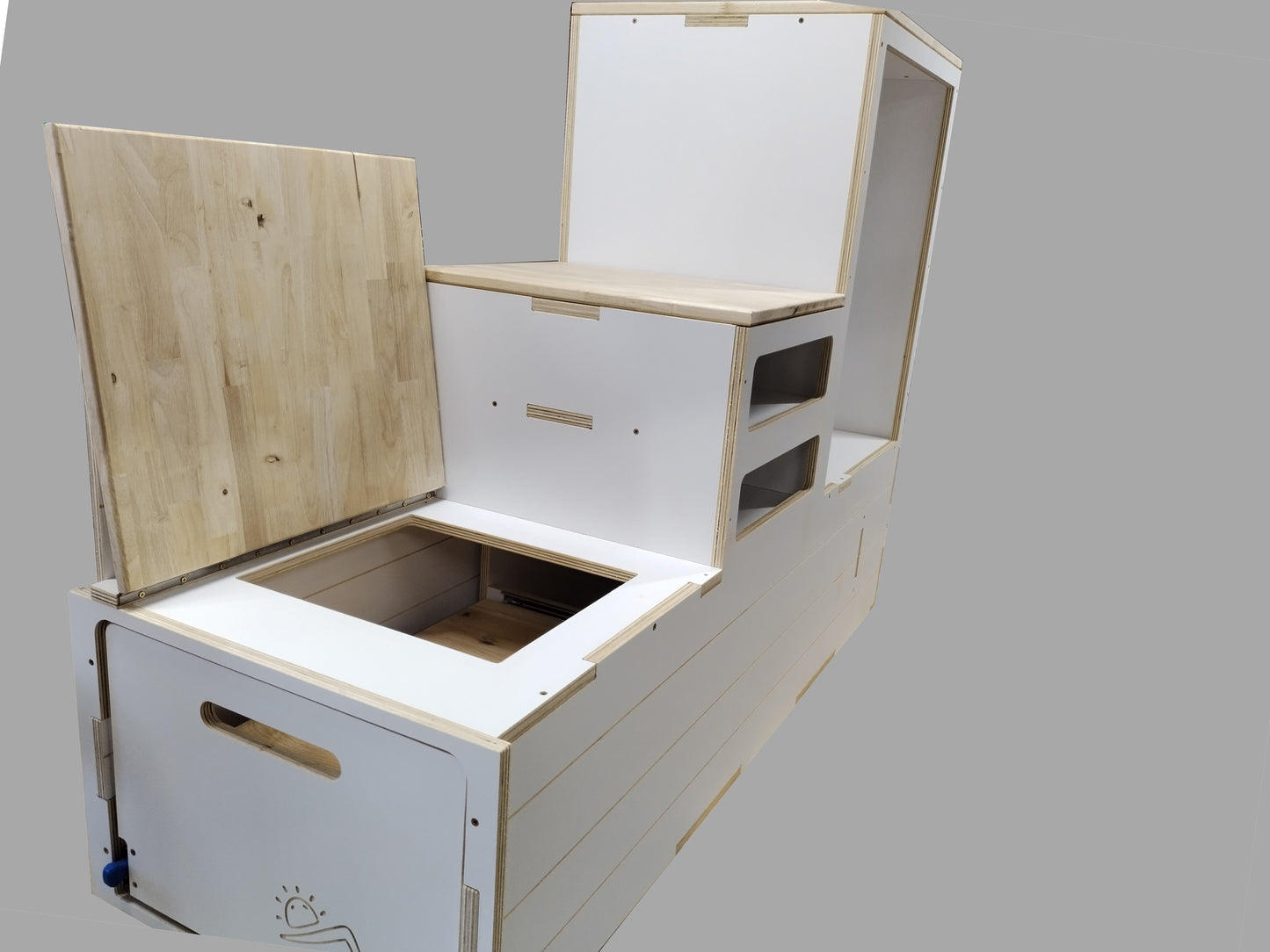 Slide Out Van Camper Kitchen - Healy